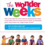 wonder weeks book review