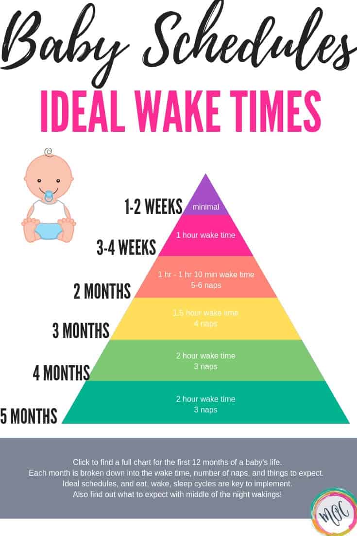 Ideal Baby Awake Times (Free Printable 